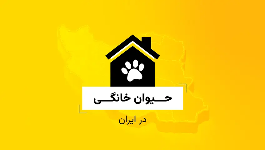 فراخوان داده - حیوان خانگی در ایران