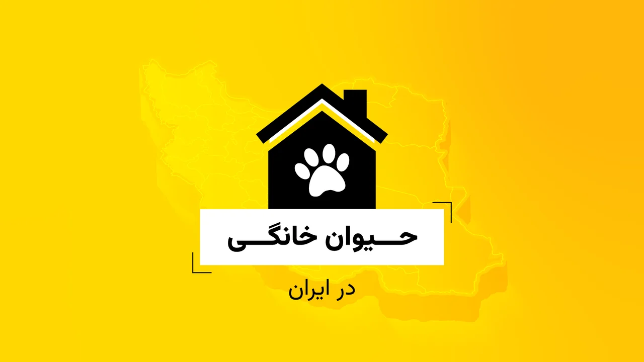 حیوان خانگی در ایران